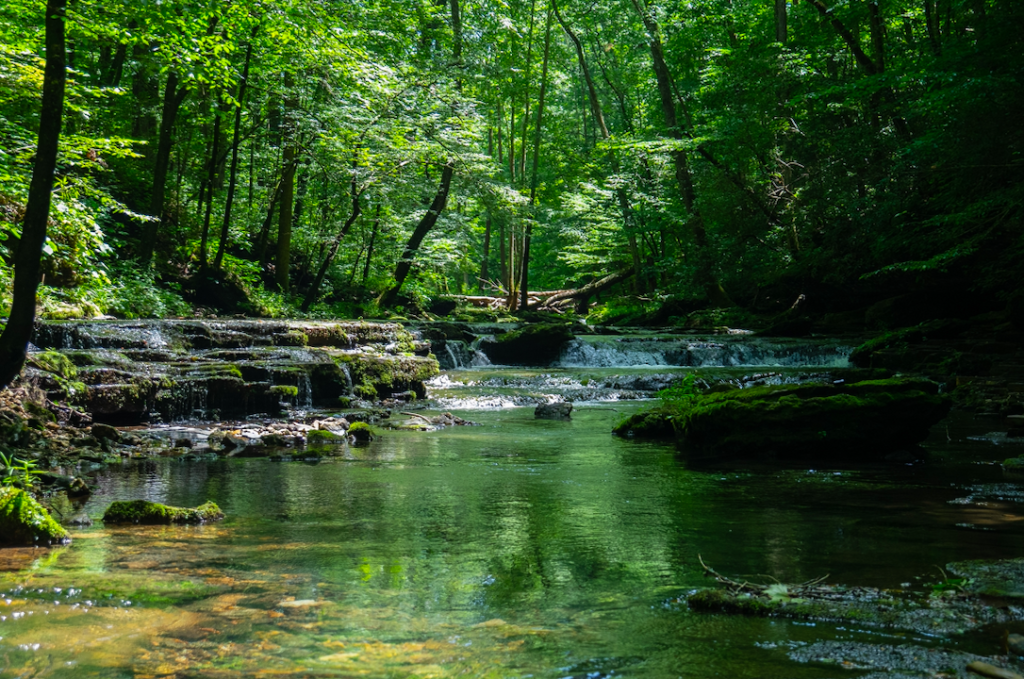 Rivière. Eau claire. David Jeruzalska. davidjeruzalska.fr Eau et exposition hydrique quotidienne. Explications sur les micro-polluants