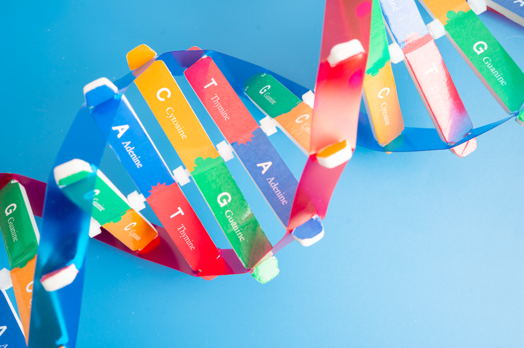 ADN, Epigénétique, David Jeruzalska, davidjeruzalska.fr, santé environnementale